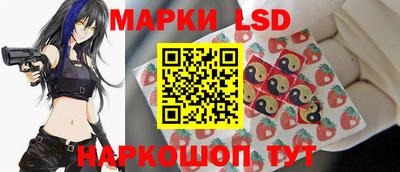 стаф Гай