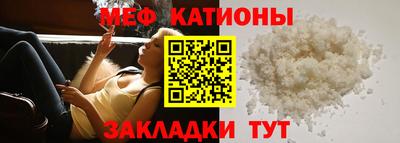 стаф Гай