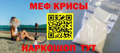 стаф Гай