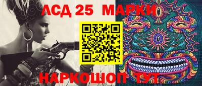 прущие грибы Гатчина