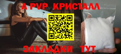 прущие грибы Гатчина
