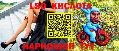 стаф Гай