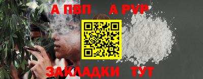 стаф Гай