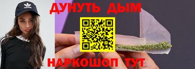 стаф Гай