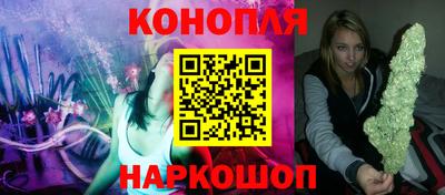 стаф Гай