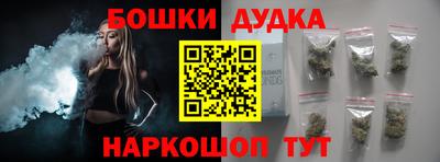 стаф Гай