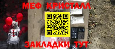 прущие грибы Гатчина