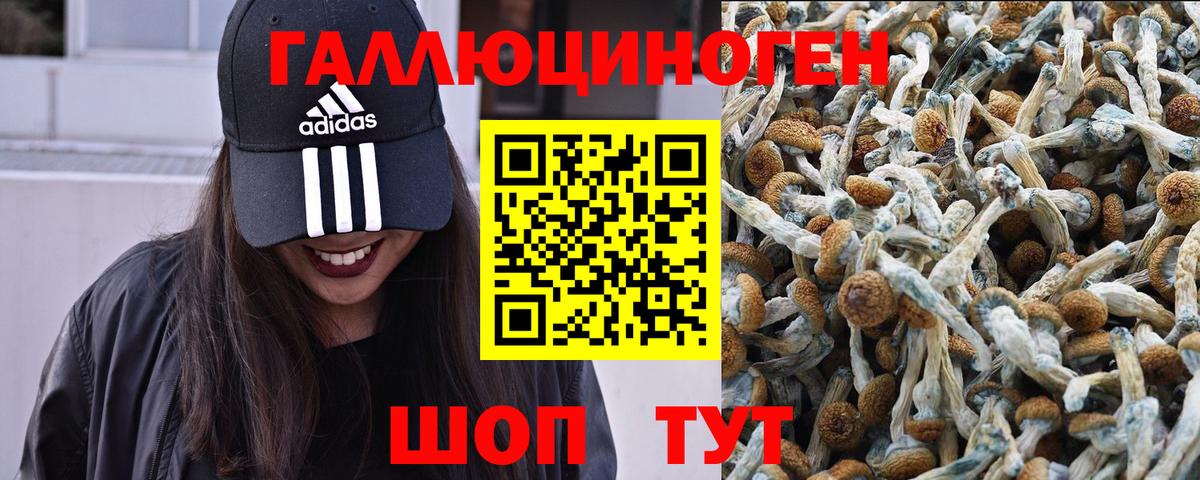 Псилоцибиновые грибы ЛСД  Вход с VPN  Ртищево 
